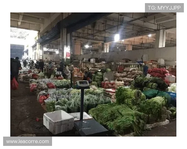 欧博亚星合作正网代理助力企业快速拓展市场实现盈利